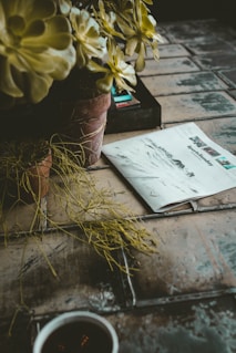 newspaper beside plant