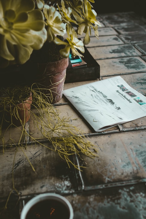 newspaper beside plant