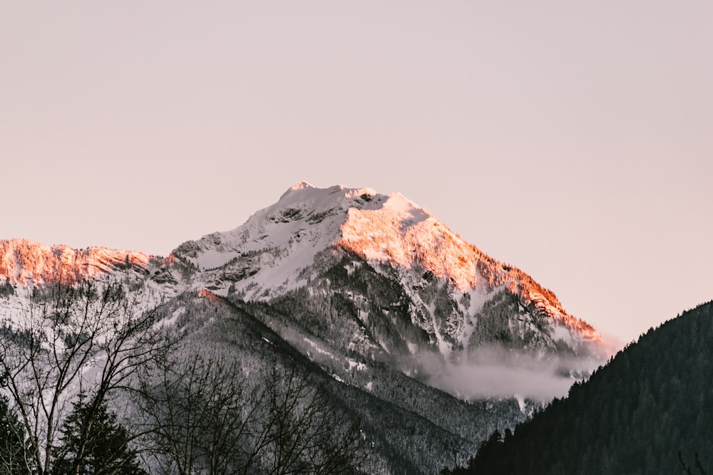 mountains and trees