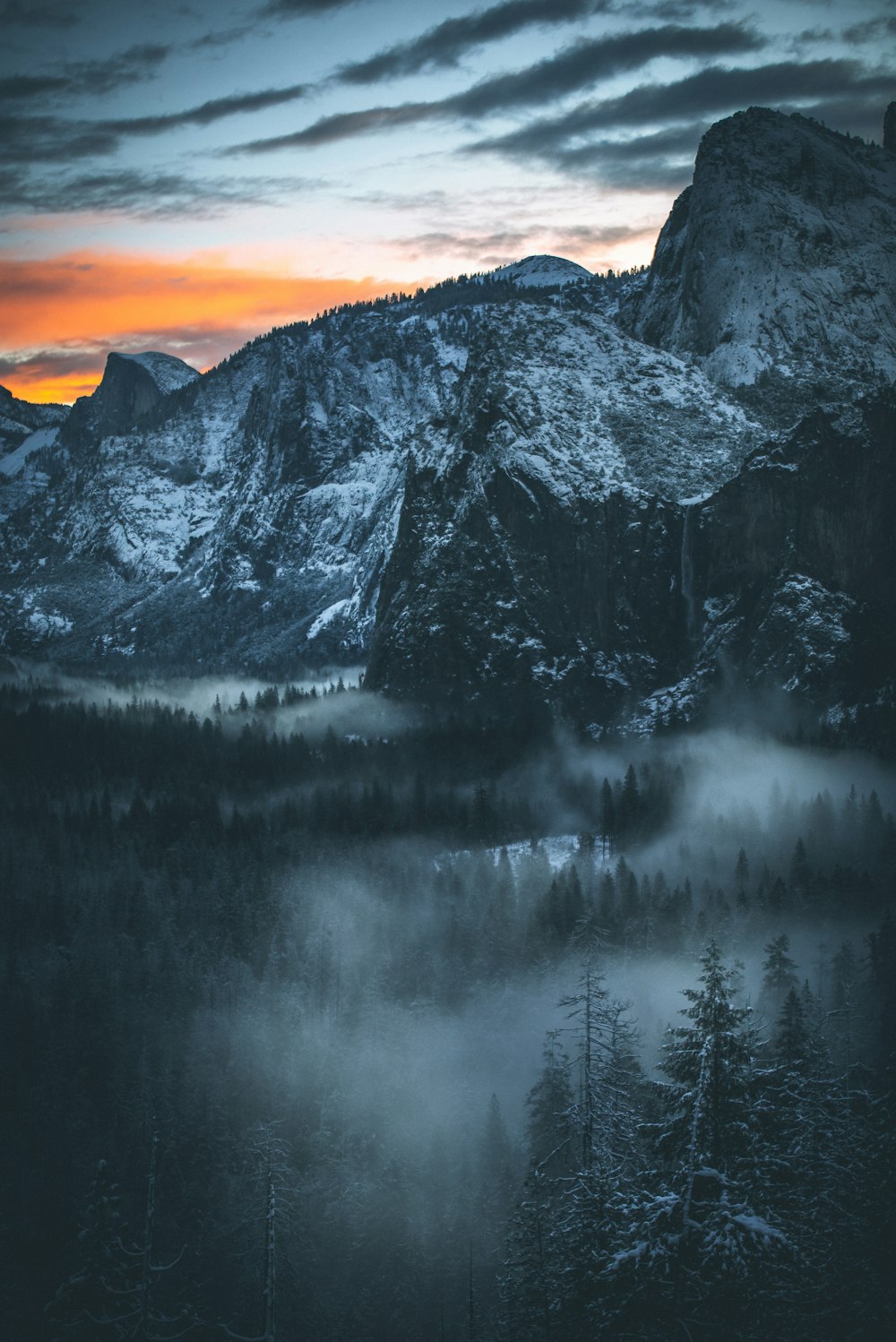 trees and mountain