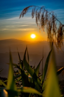 Sunset over the Pampa Colorada agricultural landscape with mountains in the background.