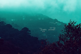 Clouds and mist envelop a mountainous landscape, partially obscuring a series of small buildings nestled among the dense forest. The scene is dominated by rich greenery and a light teal hue, creating a mysterious and tranquil atmosphere.
