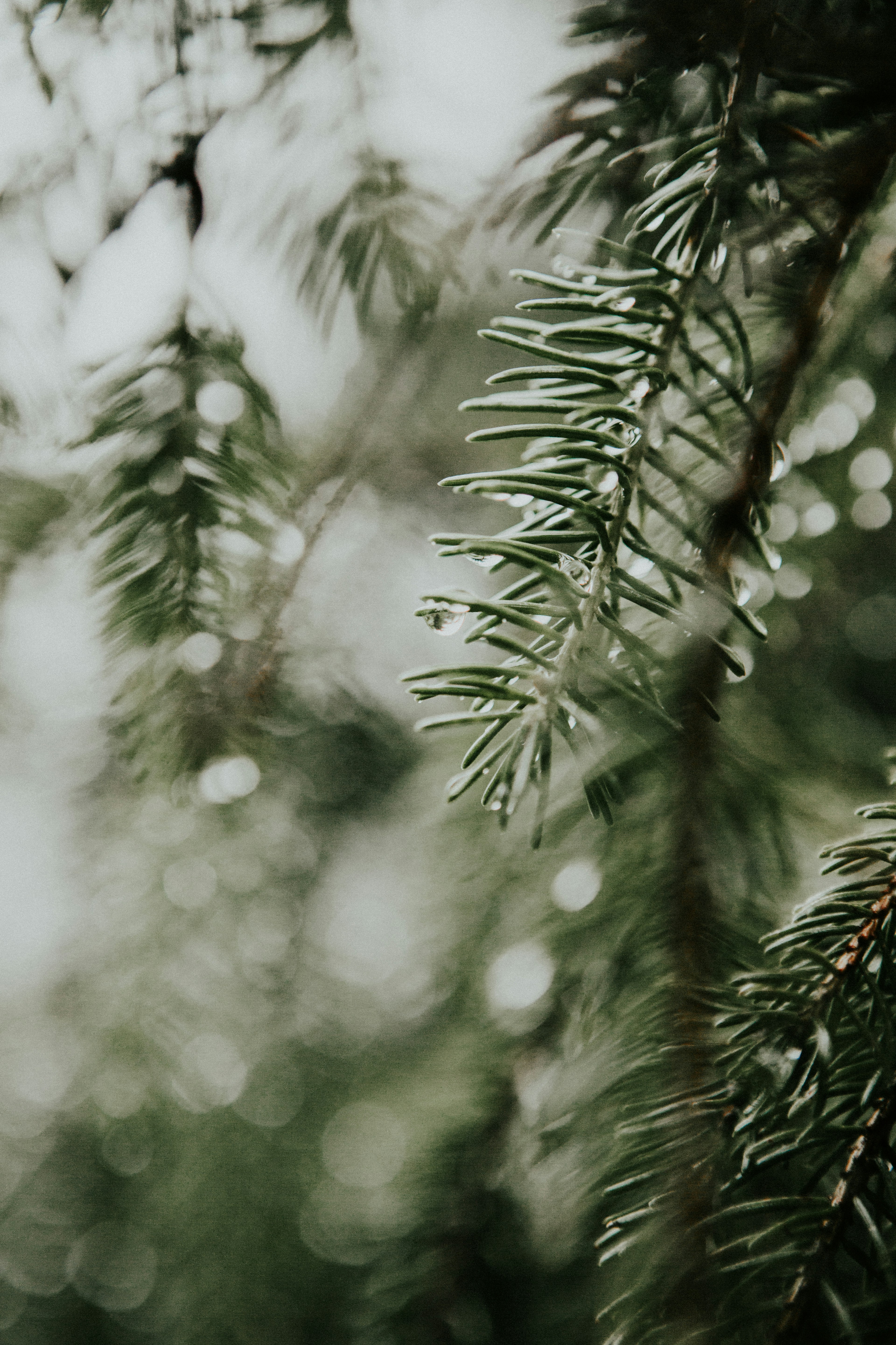 Photo by blondie_lili