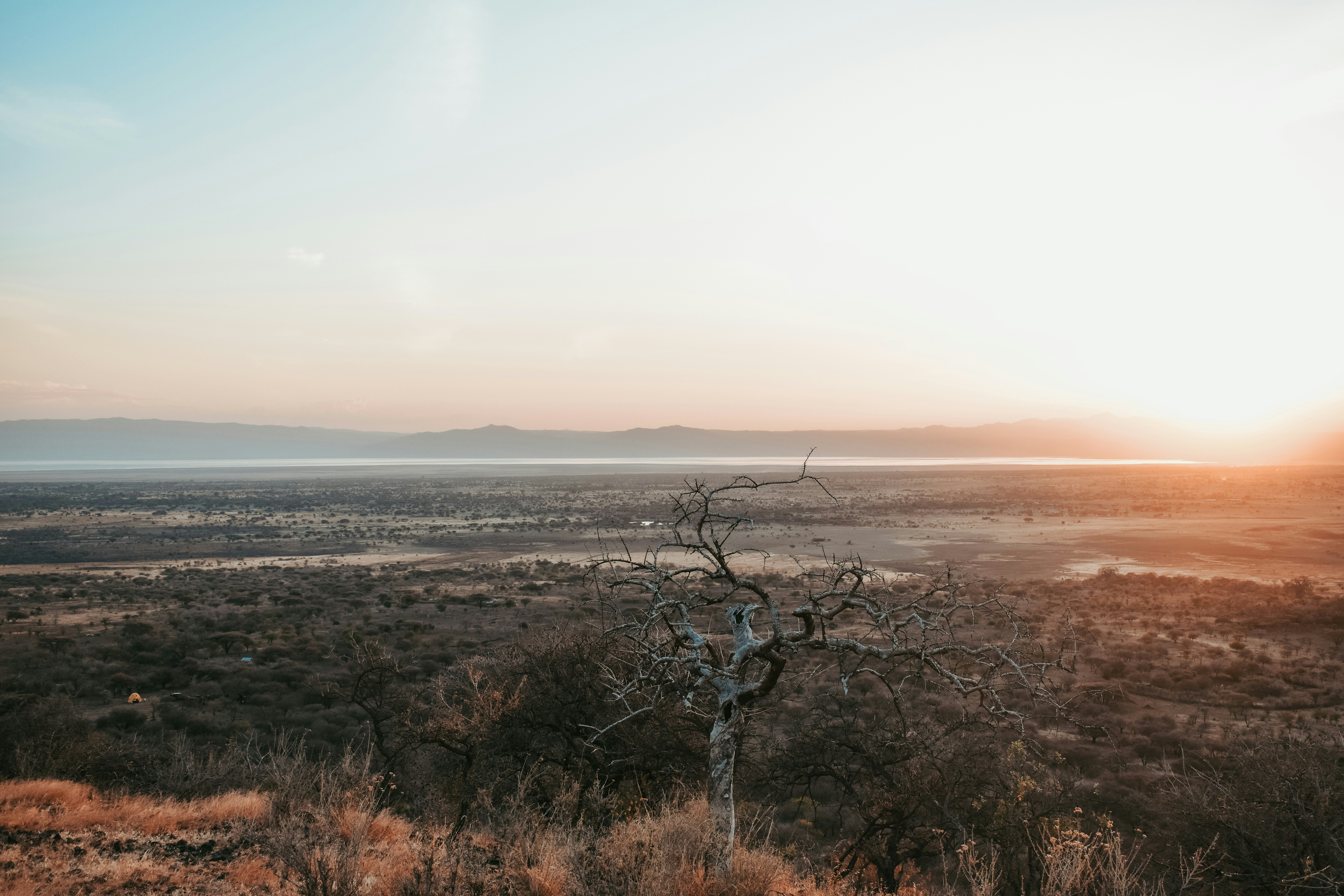 Cereal | 100+ best free cereal, simple, wallpaper and minimal photos on