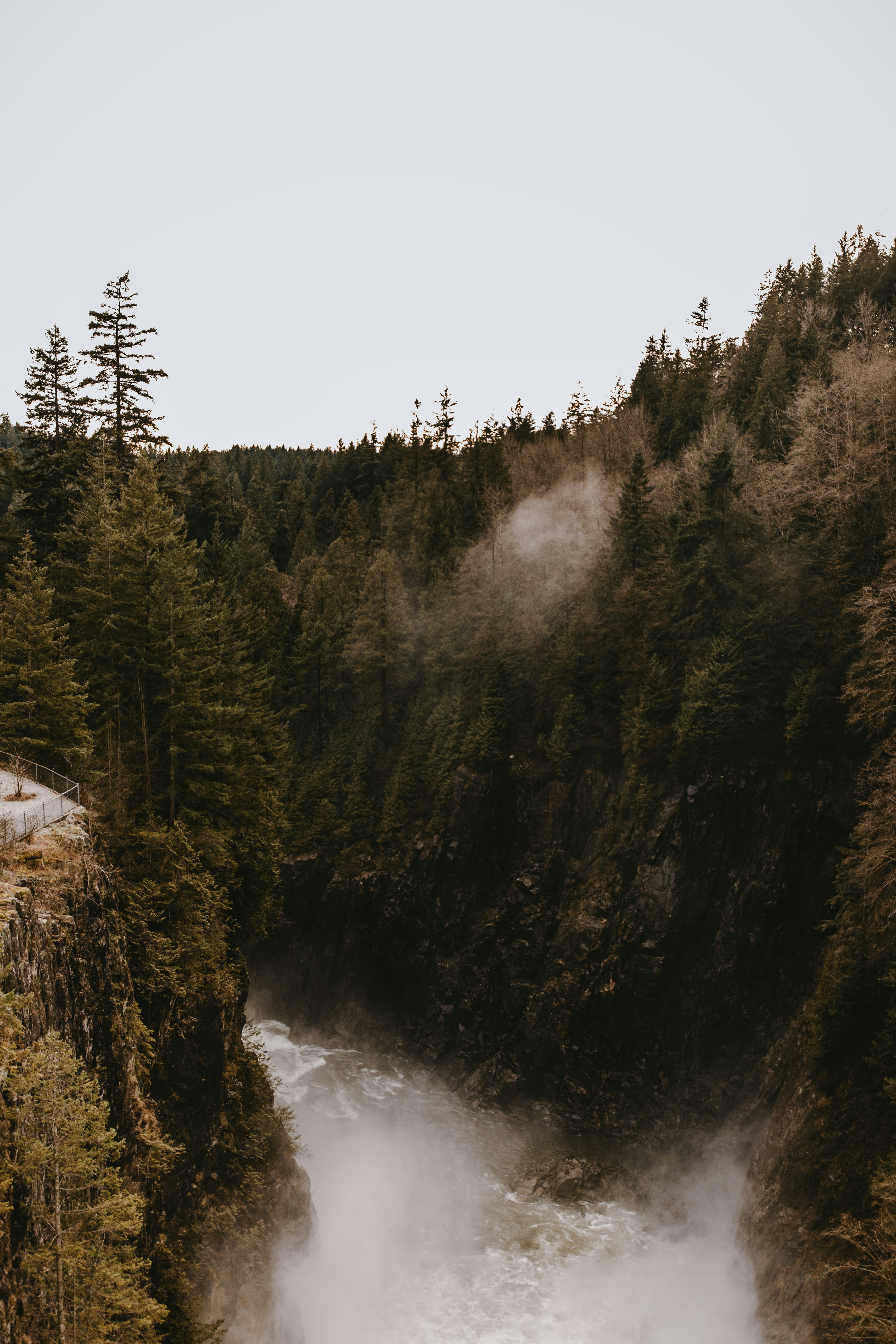 Photo by jacalynbeales