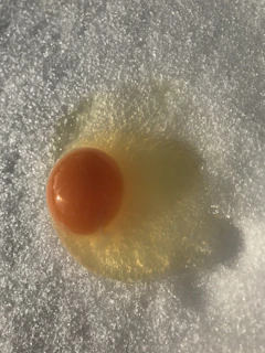 A wild golden egg glowing intensely on a cracked pavement under neon city lights.