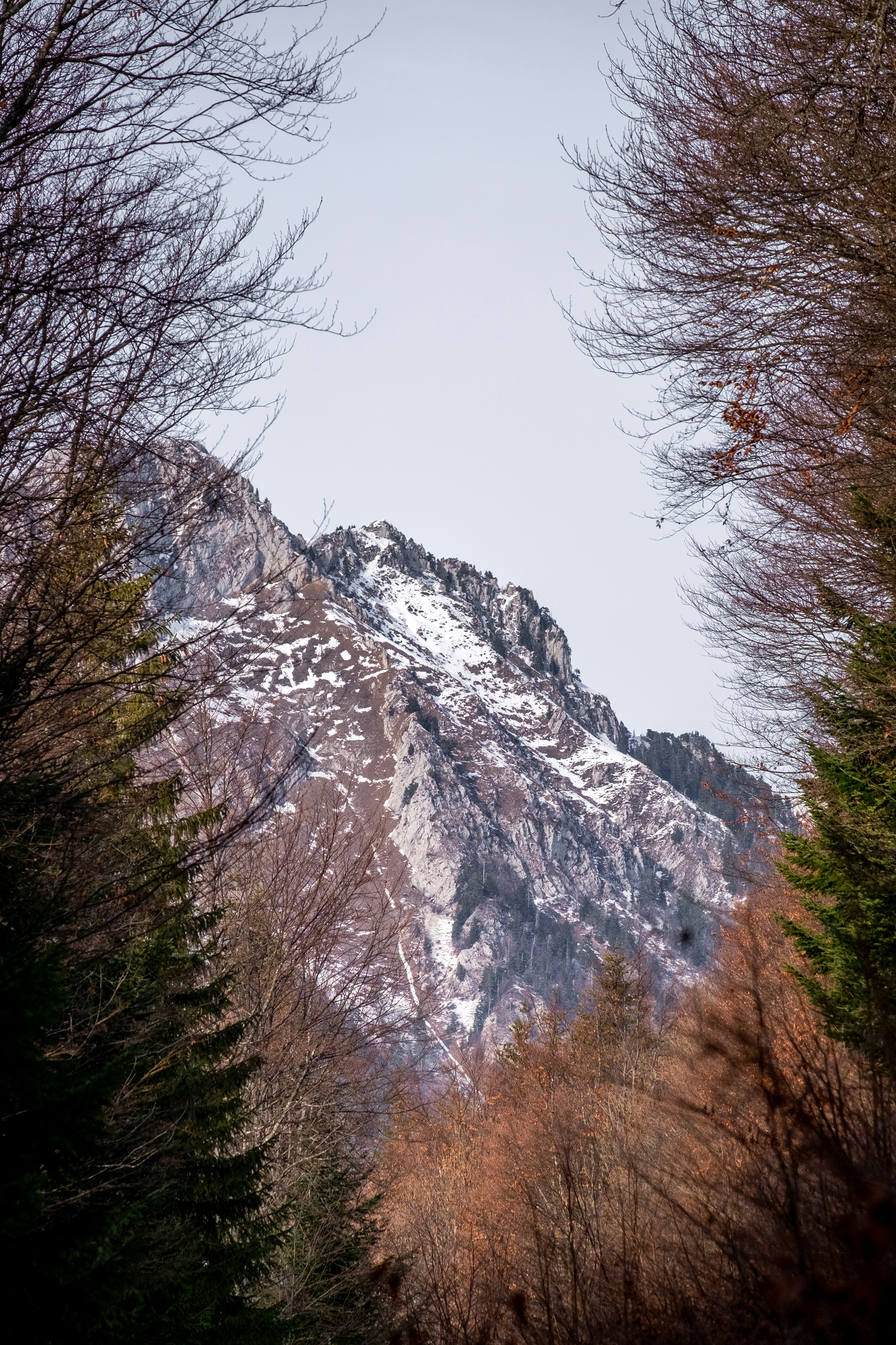 Scnery de montaña helada