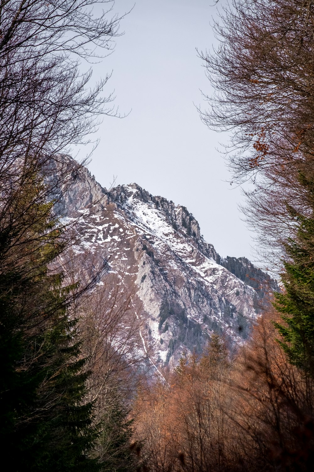 icy mountain scnery