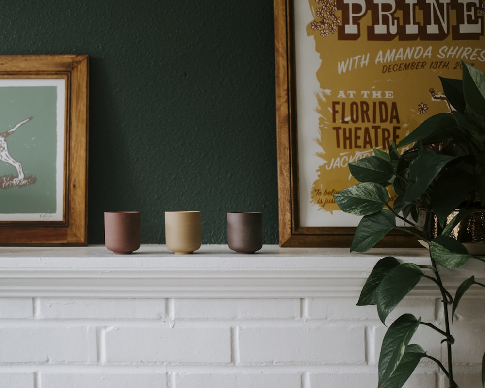 assorted-colored ceramic pots