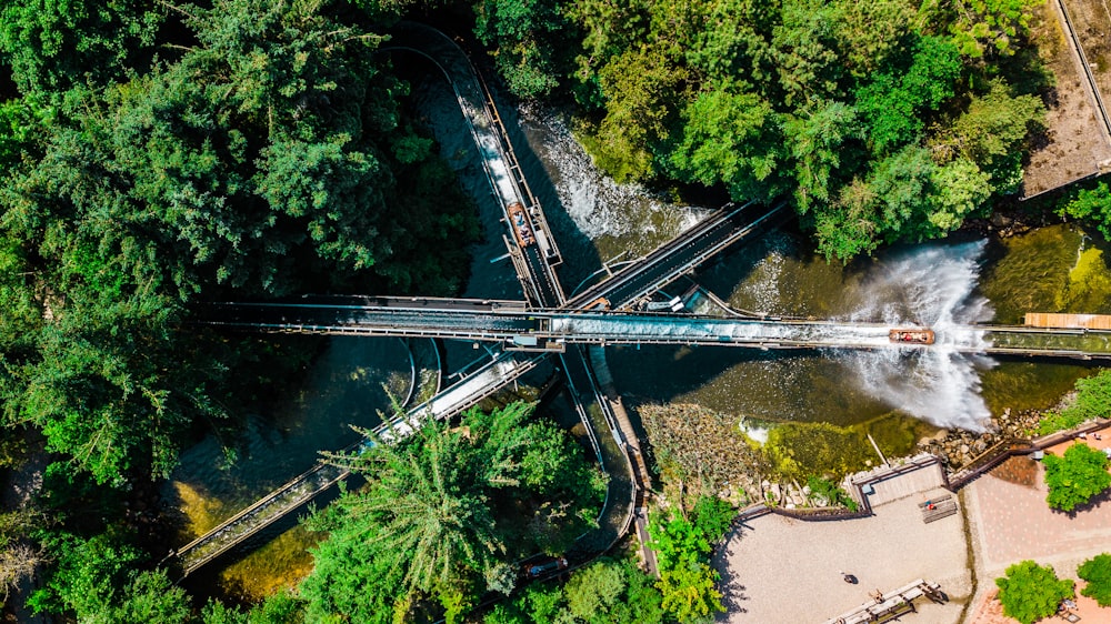 amusement park rails between trees