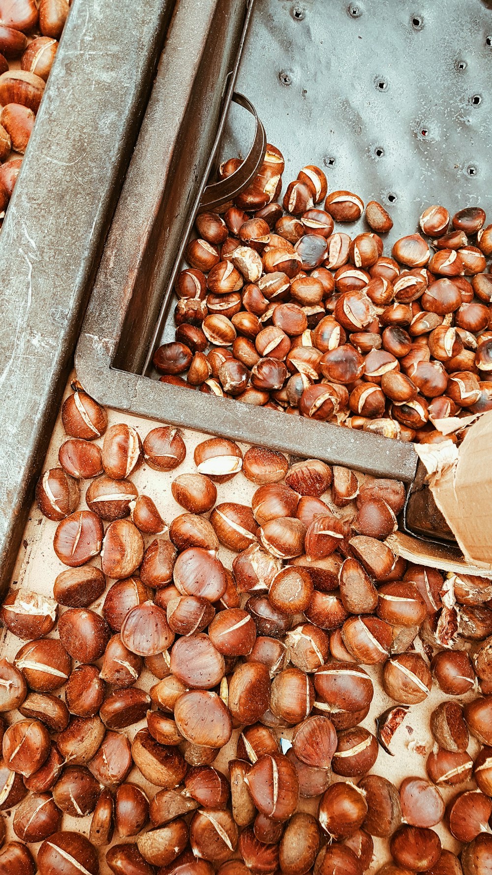 Lote de sementes marrons