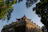 Happy traveler admiring the serene Lotus Temple surrounded by greenery