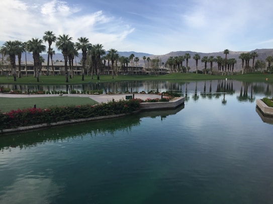 A serene landscape featuring a tranquil body of water surrounded by lush green grass and palm trees. In the background, there are buildings with a mountainous backdrop under a partly cloudy sky. Flowers line the edge of the water, adding pops of color.