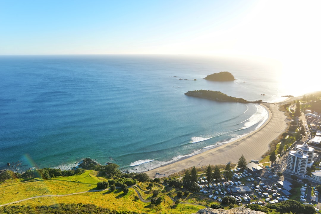 Port of Tauranga photo,