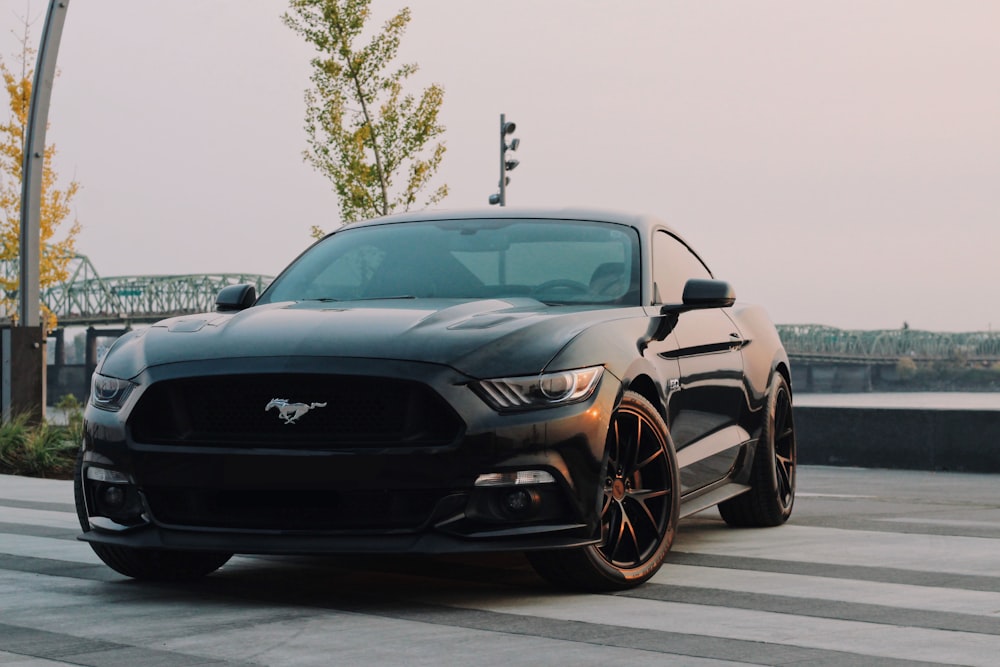 black Ford Mustang coupe parked near green tree