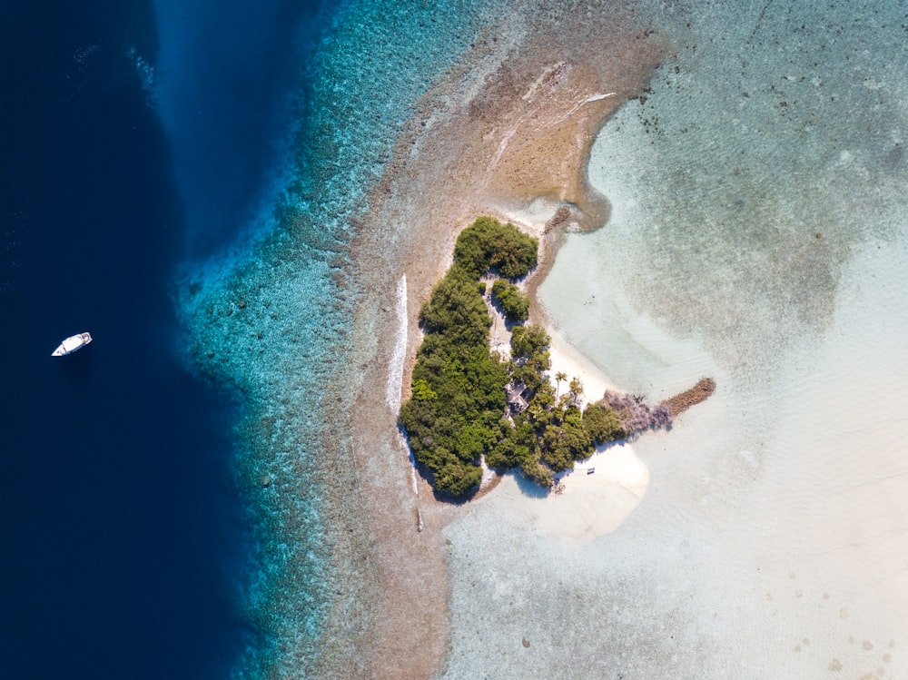 aerial view of ocean