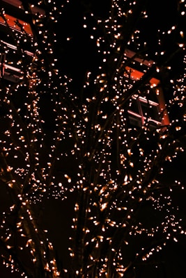 A tree adorned with numerous small, warm white lights creating a sparkling effect. The branches are intertwined with strings of lights, set against a dark background. In the upper part of the image, there are reflections of lights on nearby building windows, adding to the festive ambiance.