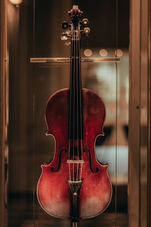 Fiddle and guitar together, two of the core instruments of the bluegrass bands headed to Water Street Plaza in Henderson
