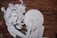 A black and white mural painted on a brick wall features a stylized depiction of a woman with voluminous hair. She is holding a round object and appears engaged in a thoughtful pose. The brick texture adds depth and character to the artwork.