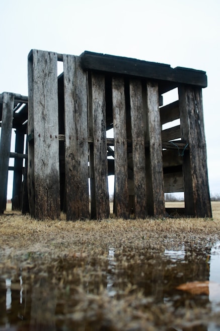 Weathered wooden pallets are stacked together in an open field. The wood appears aged and worn, with variation in texture and color. Below, there is a patch of grass and a small puddle of water reflecting part of the structure.