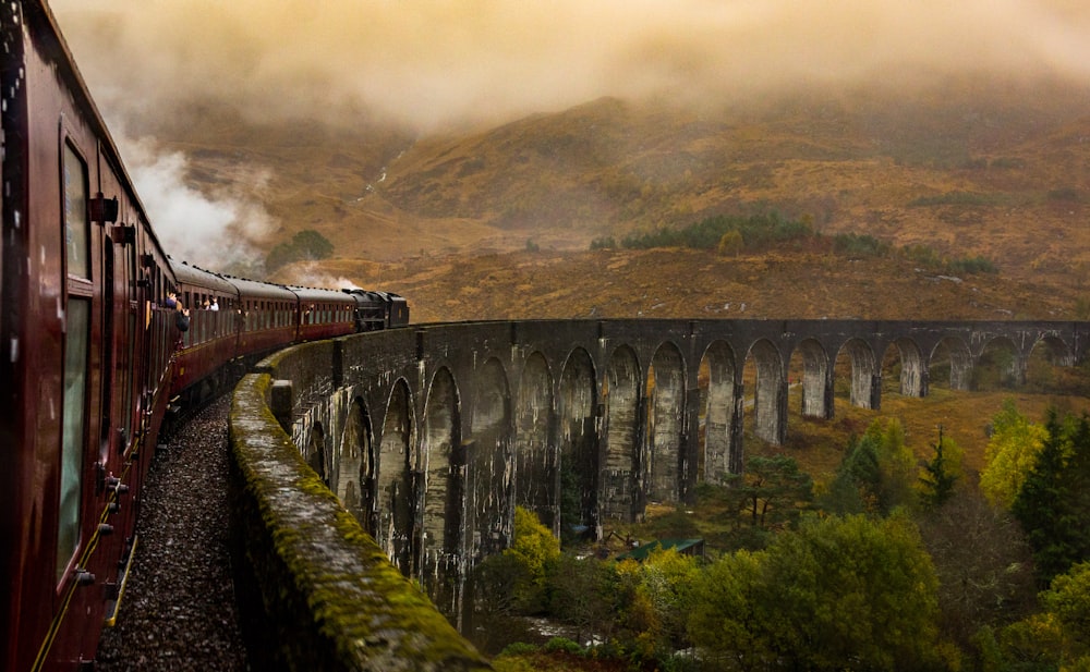 Tren en el ferrocarril durante el día