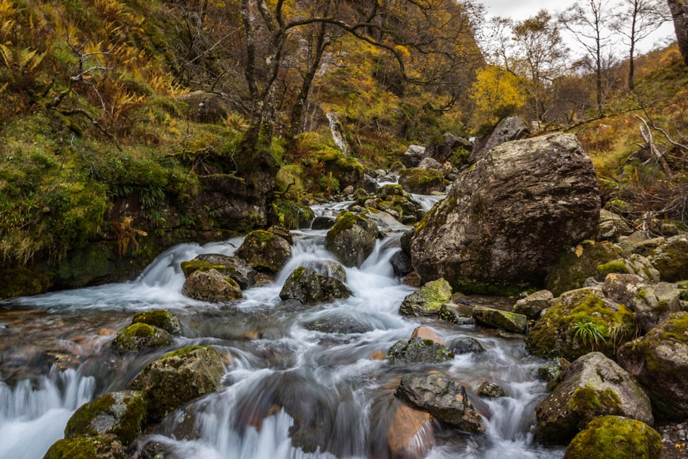 waterfalls and rocks