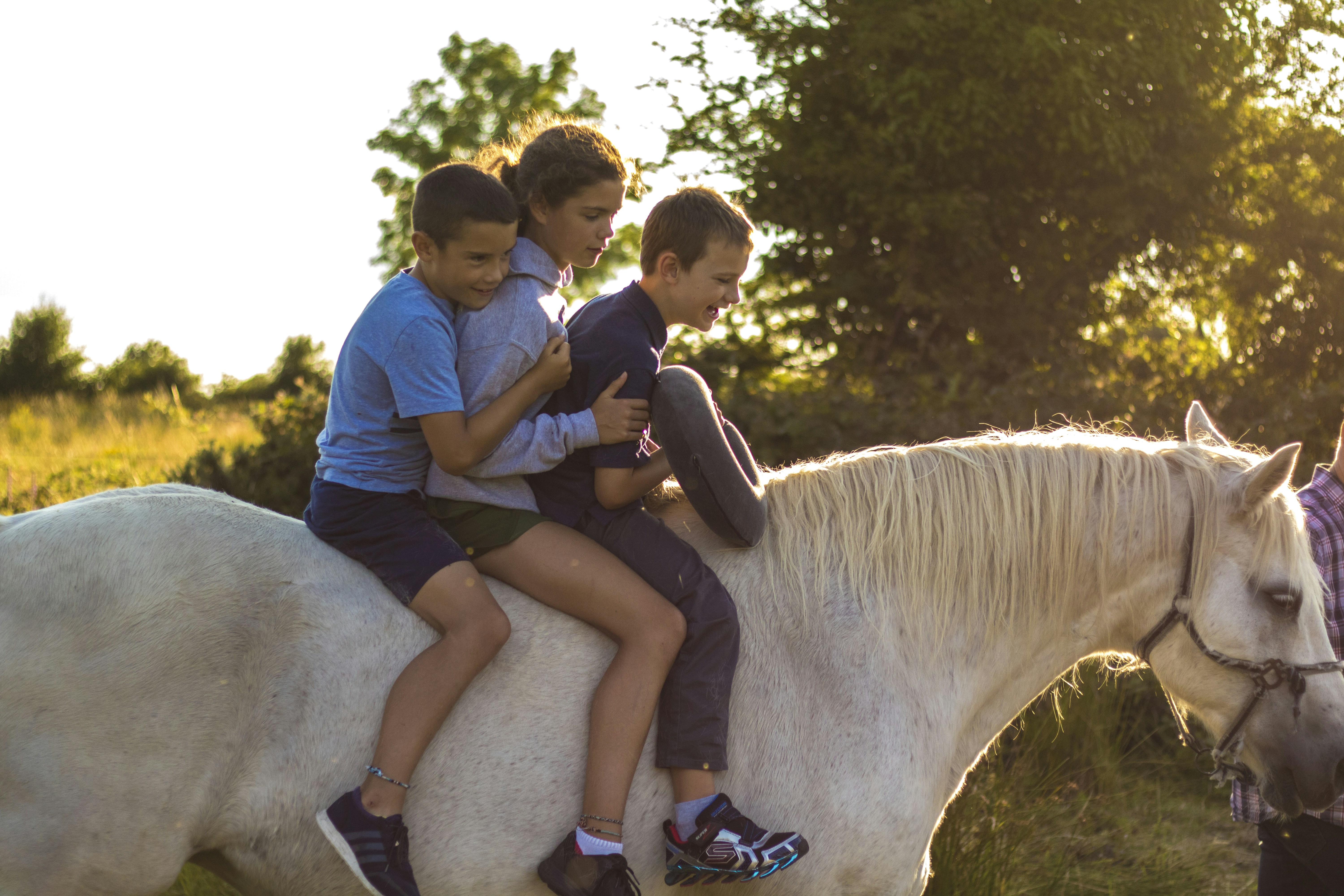 Tres niños montando en un caballo blanco durante el día foto – Imagen de  Gente gratuita en Unsplash, image size:3000x2000