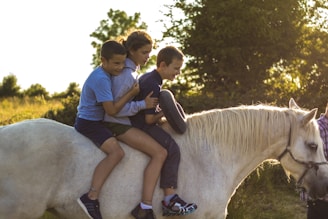 Three children are sitting together on a white horse in an outdoor setting with trees and grass in the background. The children appear to be enjoying their time, with the sunlight casting a warm glow on the scene.