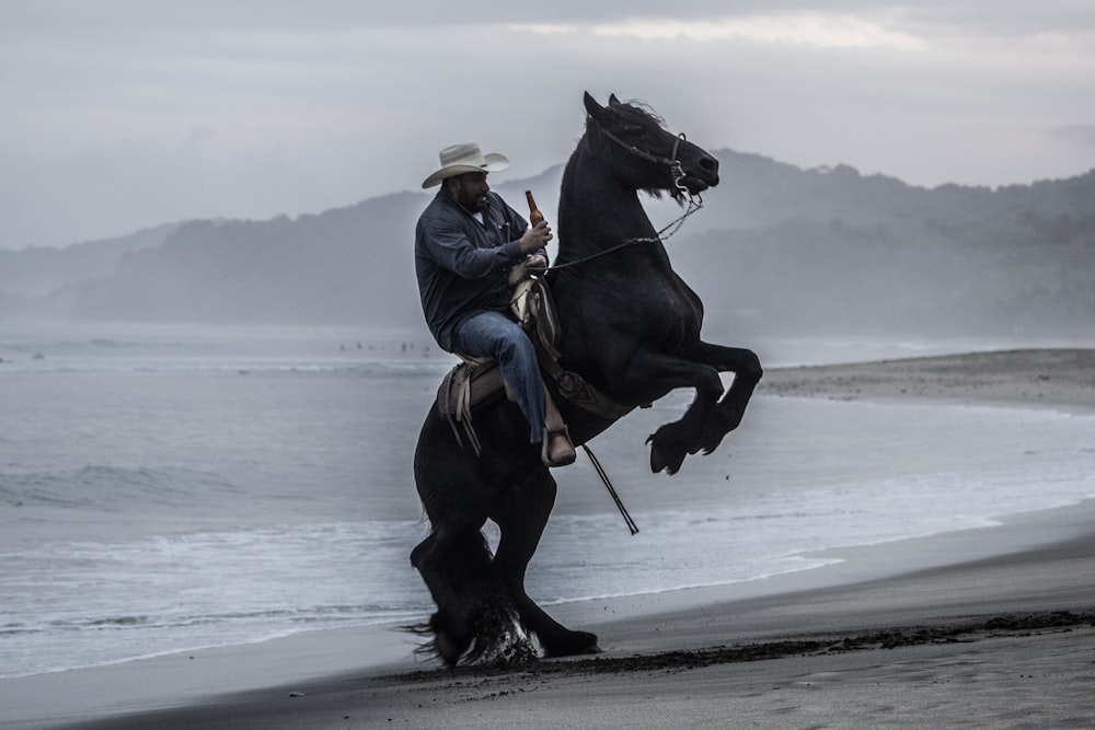 man riding black horse near by seashore