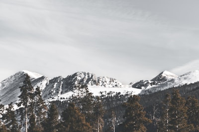 Snow-capped mountains with clear blue skies and pine trees in the foreground.