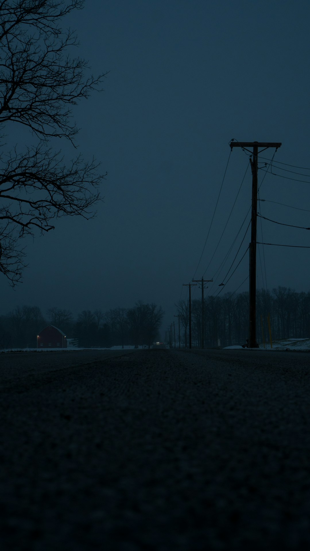 dark field lined with electric poles