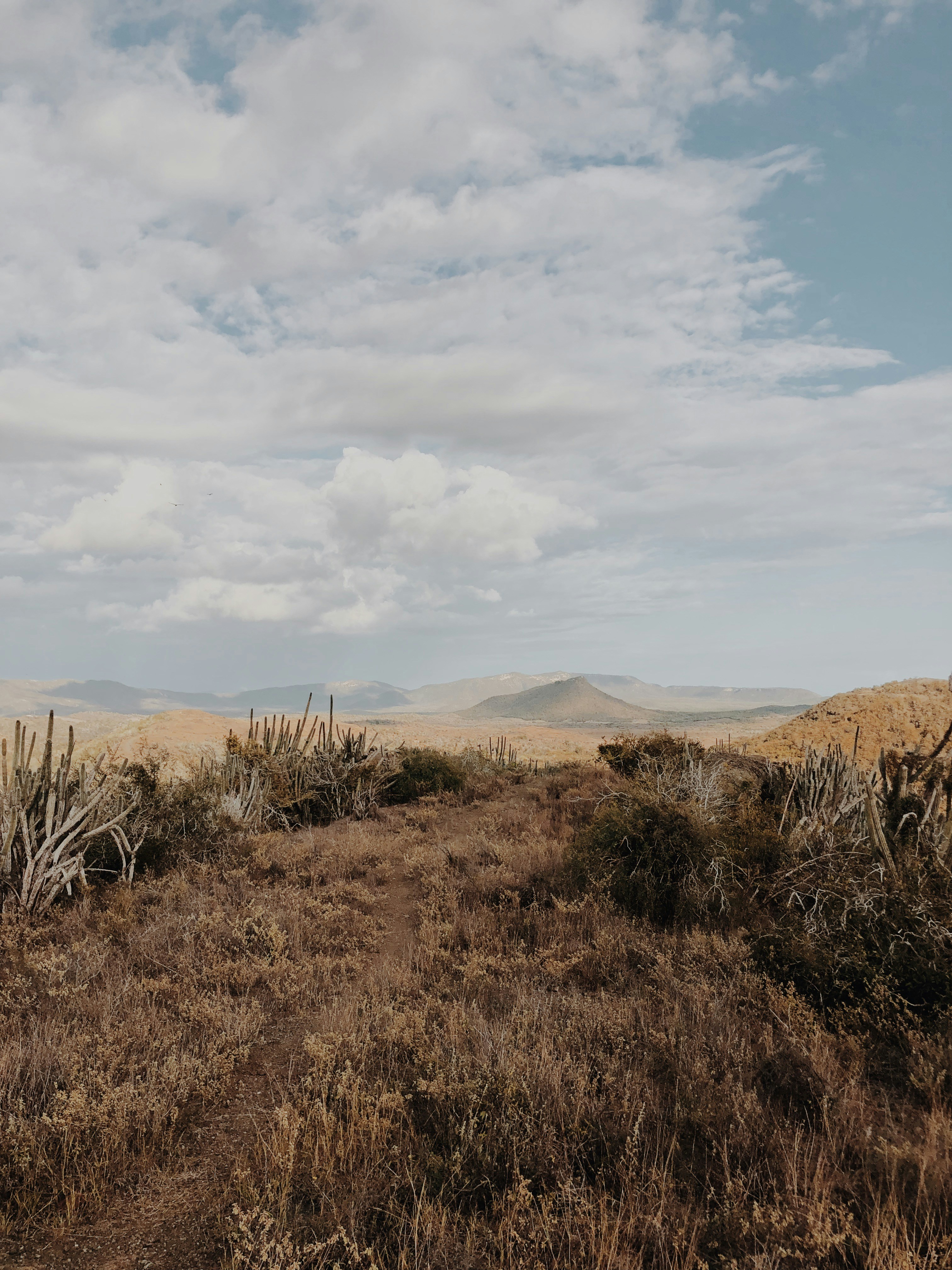 Photo by amyjoyhumphries