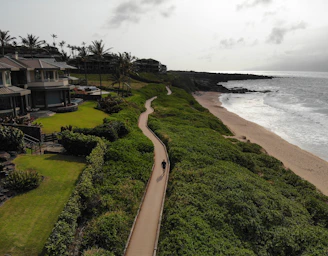 A serene coastal path under a bright blue sky with birds flying overhead and a luxurious hotel in the background.