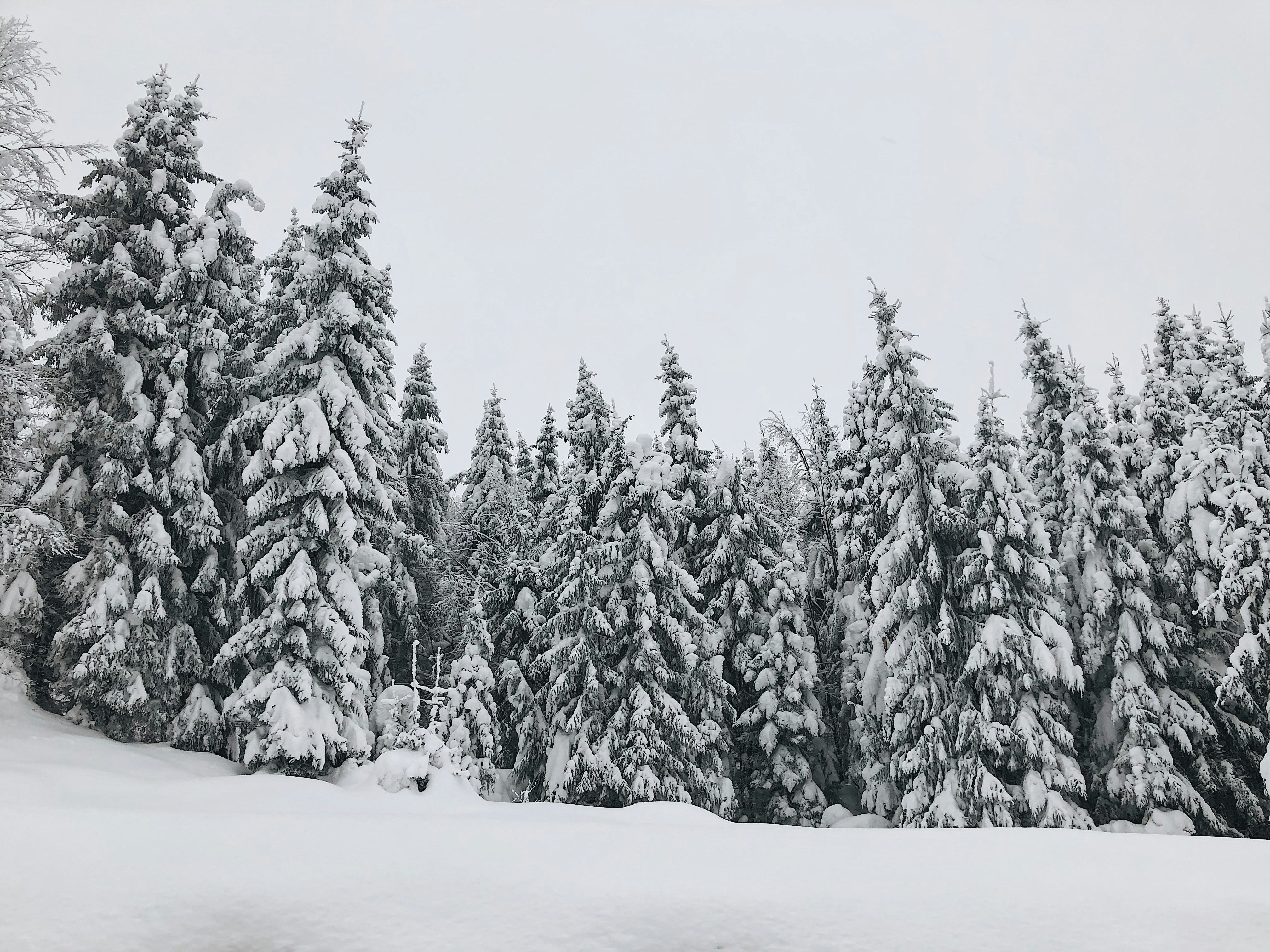 Photo by 1mariaszmecskas