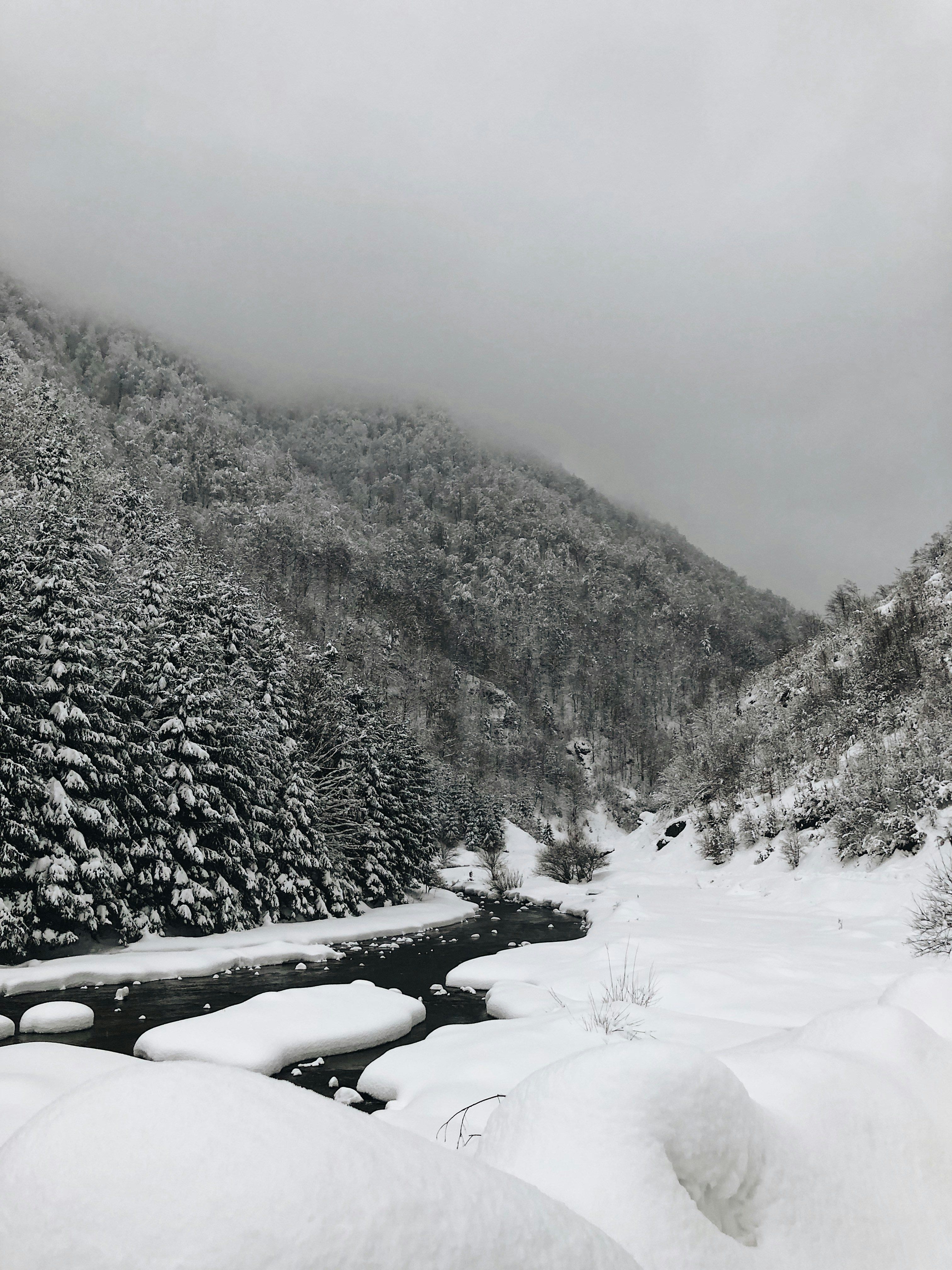 Photo by 1mariaszmecskas