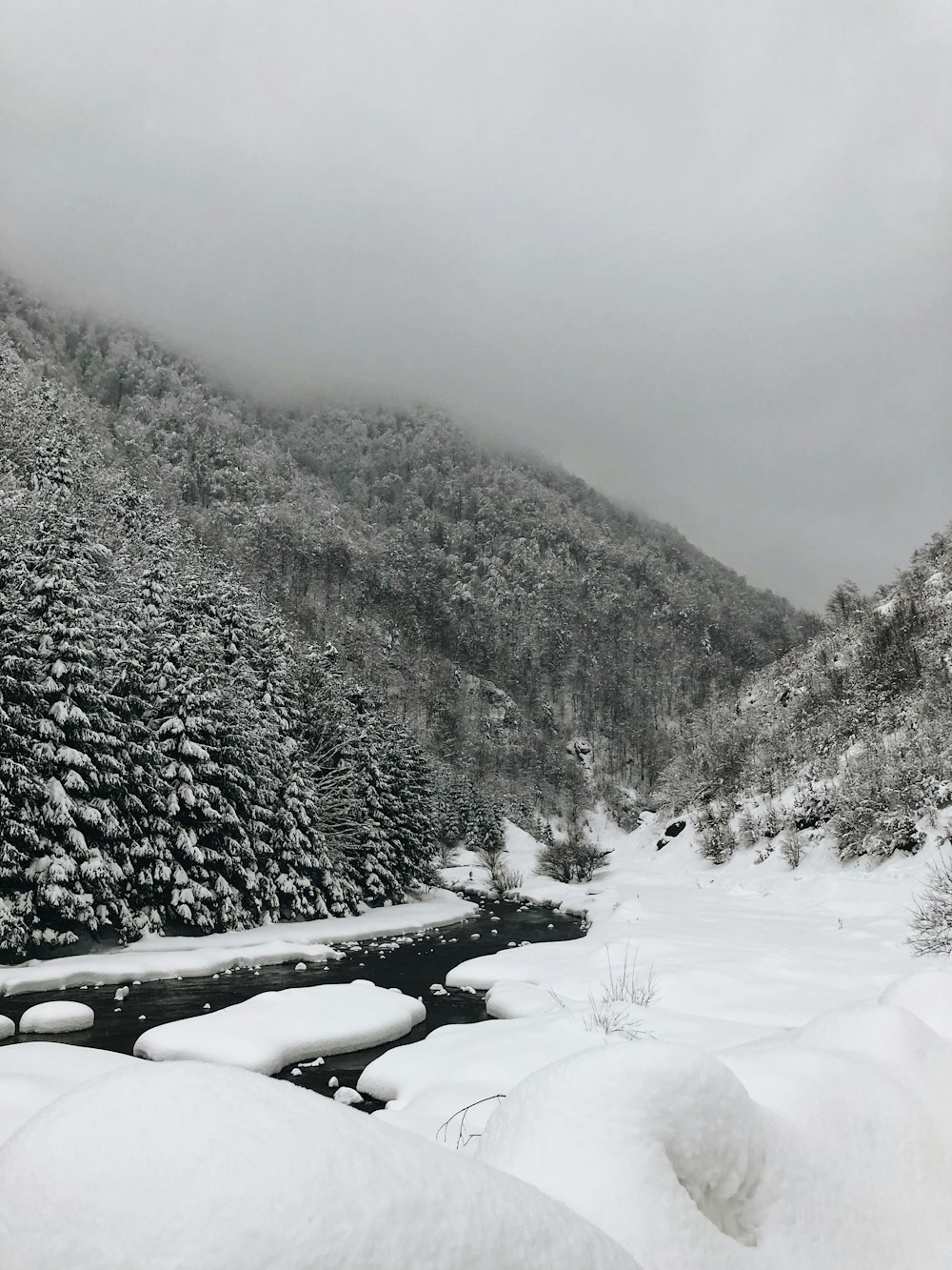 snow-covered mountain and trees