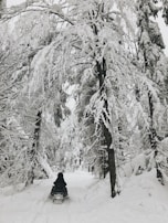 A snowmobile speeding through fresh powder snow in a winter forest.