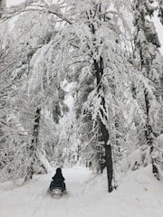 A snowmobile speeding through fresh powder snow in a winter forest.