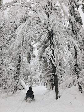 A snowmobile speeding through fresh powder snow in a winter forest.