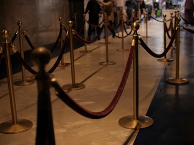 A series of brass stanchions with red velvet ropes create a queue in an indoor setting. The floor is polished, and there are people in the background, giving a sense of activity in the area.