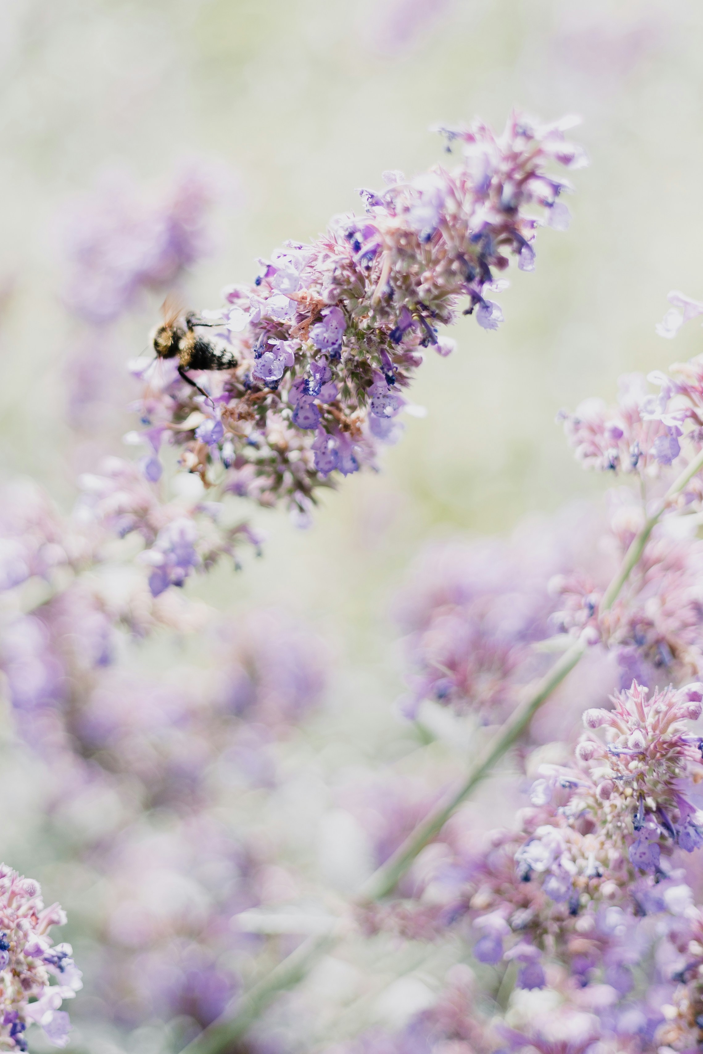Photo by priscilladupreez