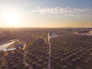 A landscape featuring a park-like area with neatly arranged rows of small trees and pathways. There is a body of water on the left side and in the distance, the sun is setting or rising, casting a golden glow over the scene. The sky is partly cloudy, adding texture to the horizon.