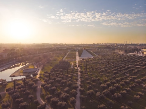 A landscape featuring a park-like area with neatly arranged rows of small trees and pathways. There is a body of water on the left side and in the distance, the sun is setting or rising, casting a golden glow over the scene. The sky is partly cloudy, adding texture to the horizon.