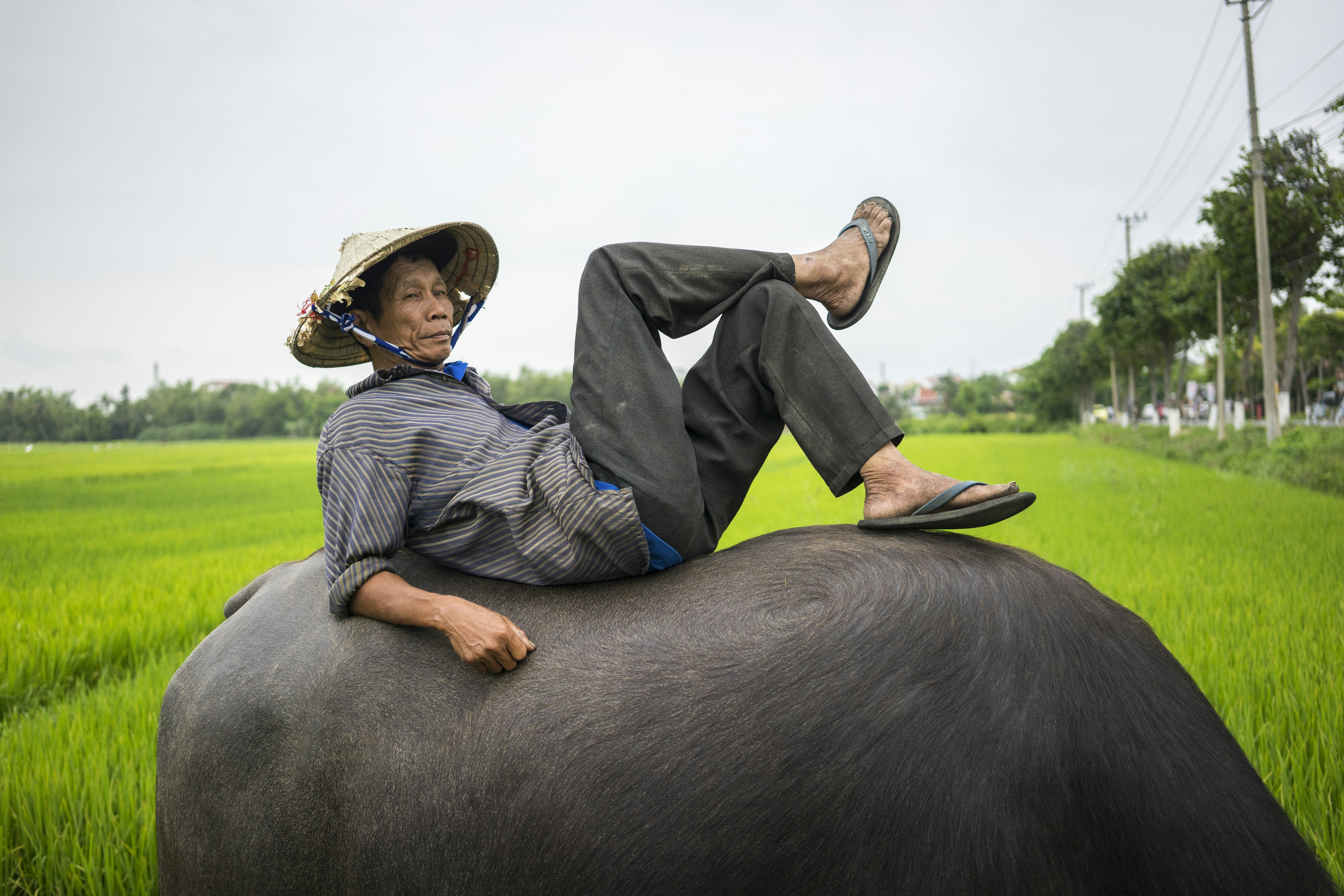 man resting on top of buffalo outdoor