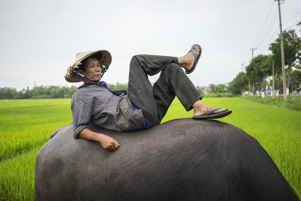 man resting on top of buffalo outdoor