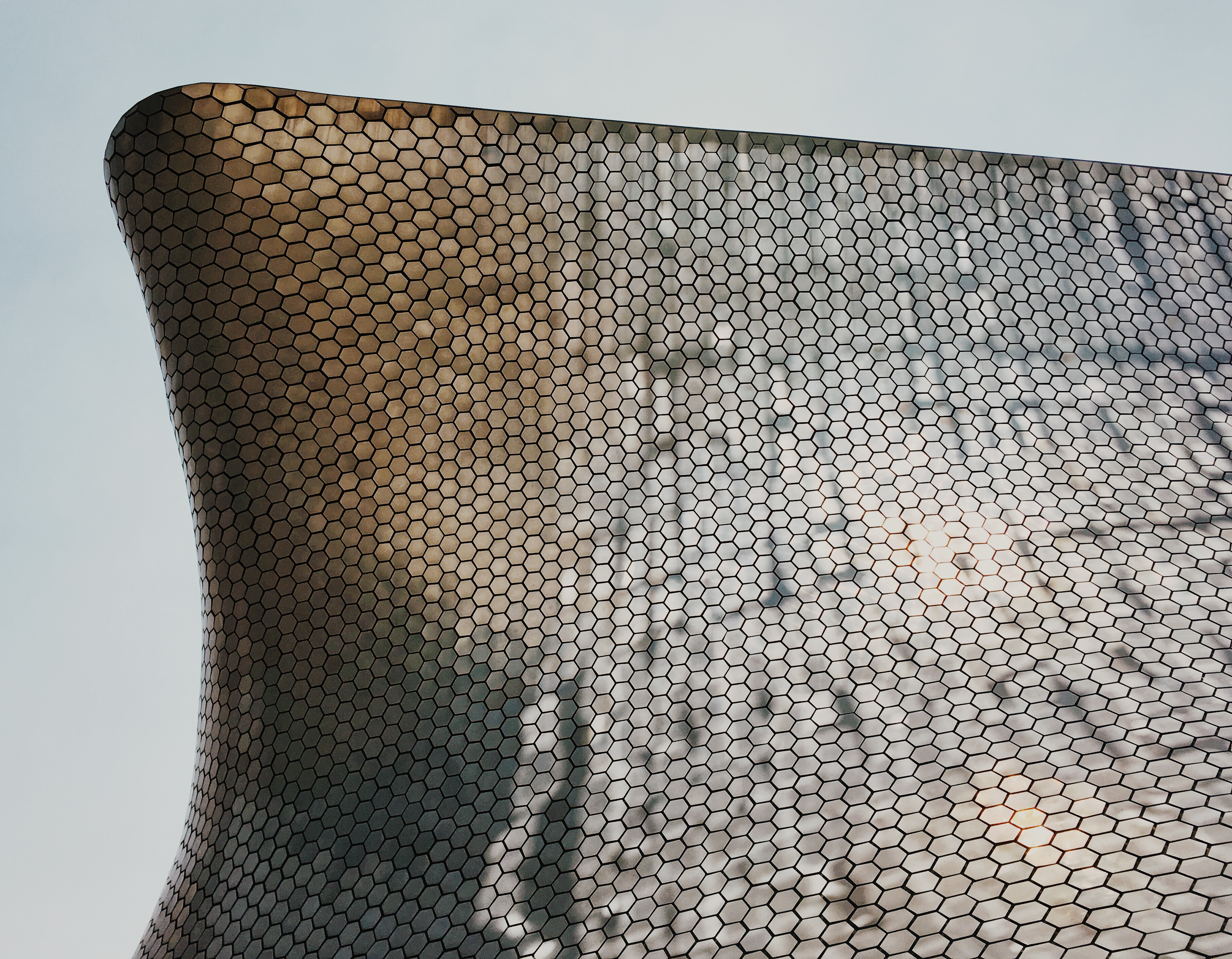 Carbon gravel frame showcasing sleek design