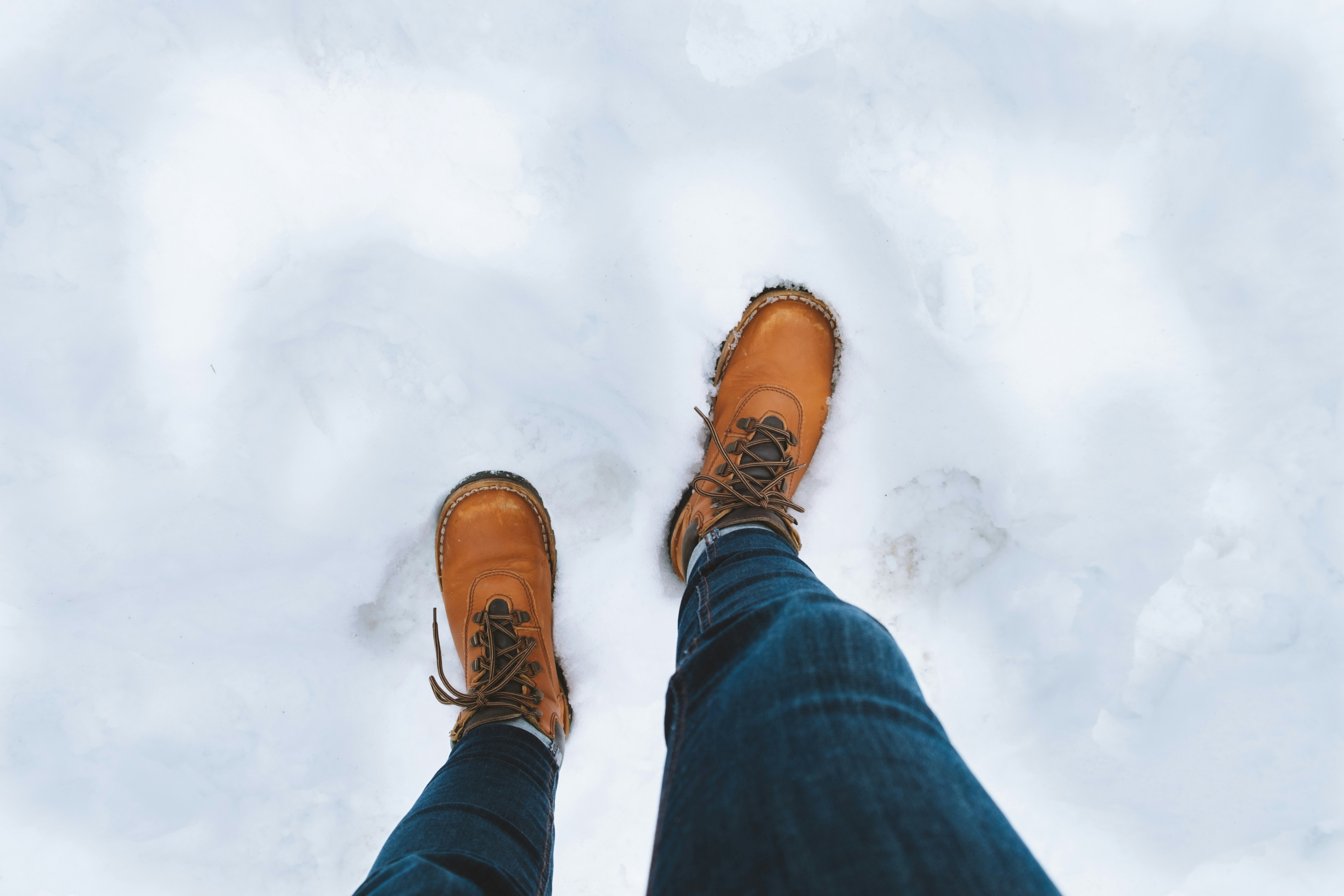 Photo by daniellexsmit