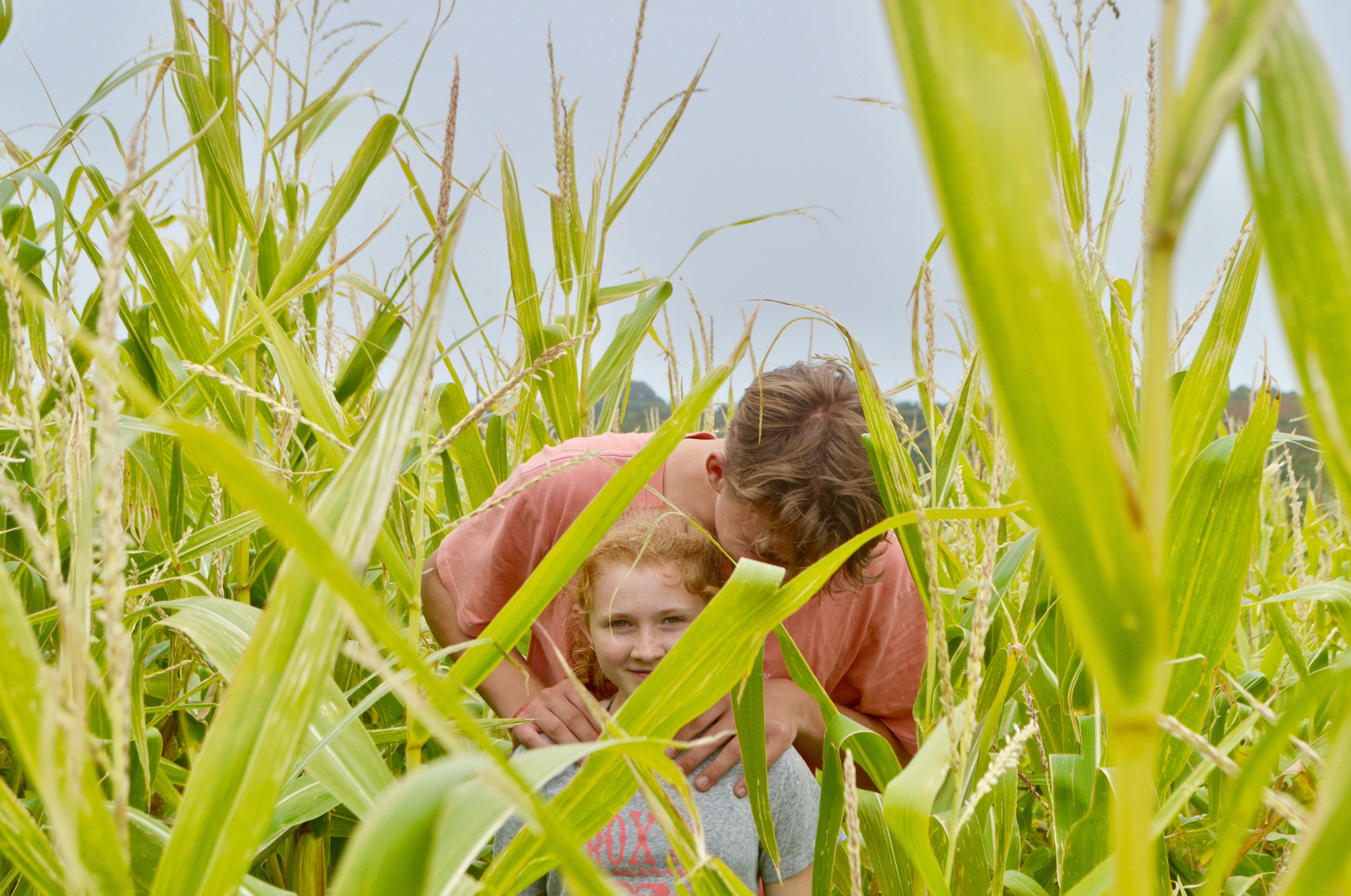 Eine Mutter und ihr kleiner Sohn lächeln und umarmen sich auf einem sonnigen Feld