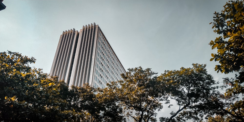 worm view photo of gray building near green trees