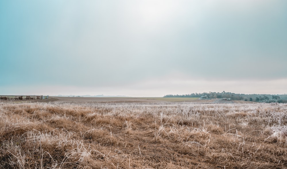 Heuhaufen unter weißem und blauem Himmel